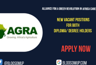 Alliance for a Green Revolution in Africa Careers