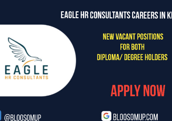 Eagle HR Consultants Careers