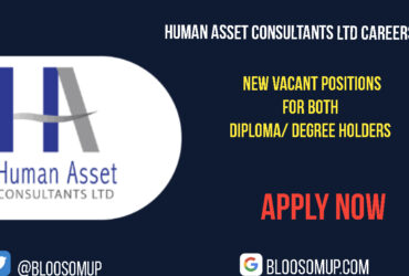 Human Asset Consultants Ltd Careers