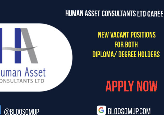 Human Asset Consultants Ltd Careers