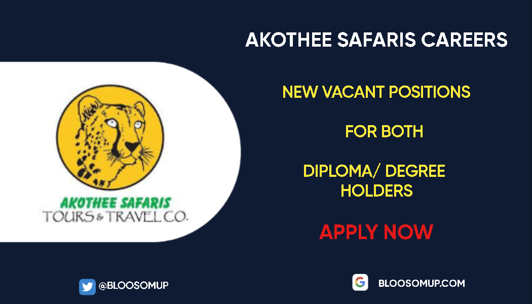 Akothee Safaris Careers