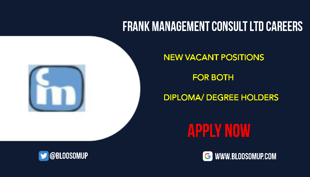 Frank Management Consult Ltd Careers