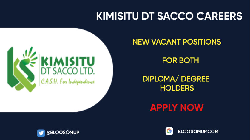 Kimisitu DT Sacco Careers