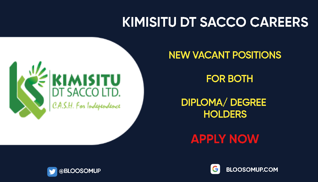 Kimisitu DT Sacco Careers