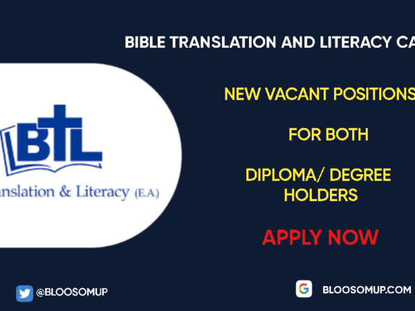 Career Opportunities at Bible Translation and Literacy