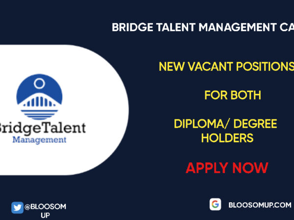 Career Opportunities at Bridge Talent Management