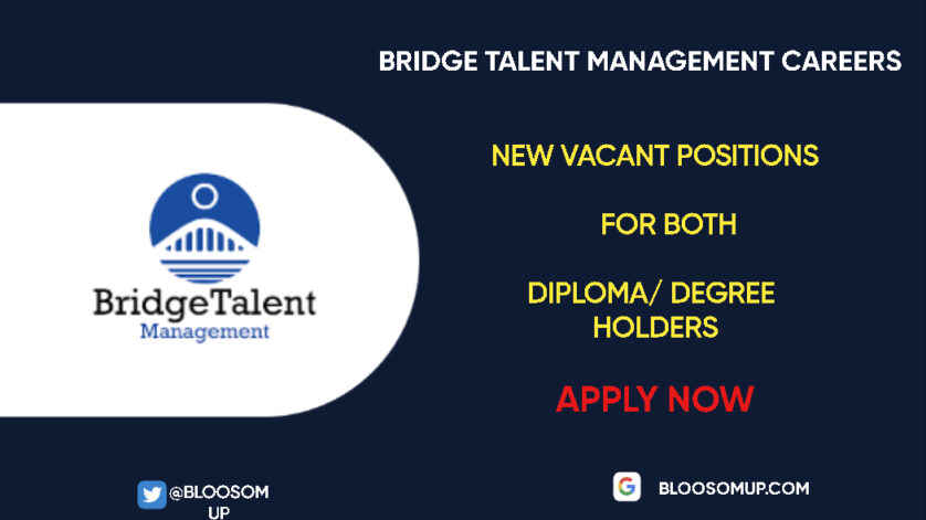 Career Opportunities at Bridge Talent Management