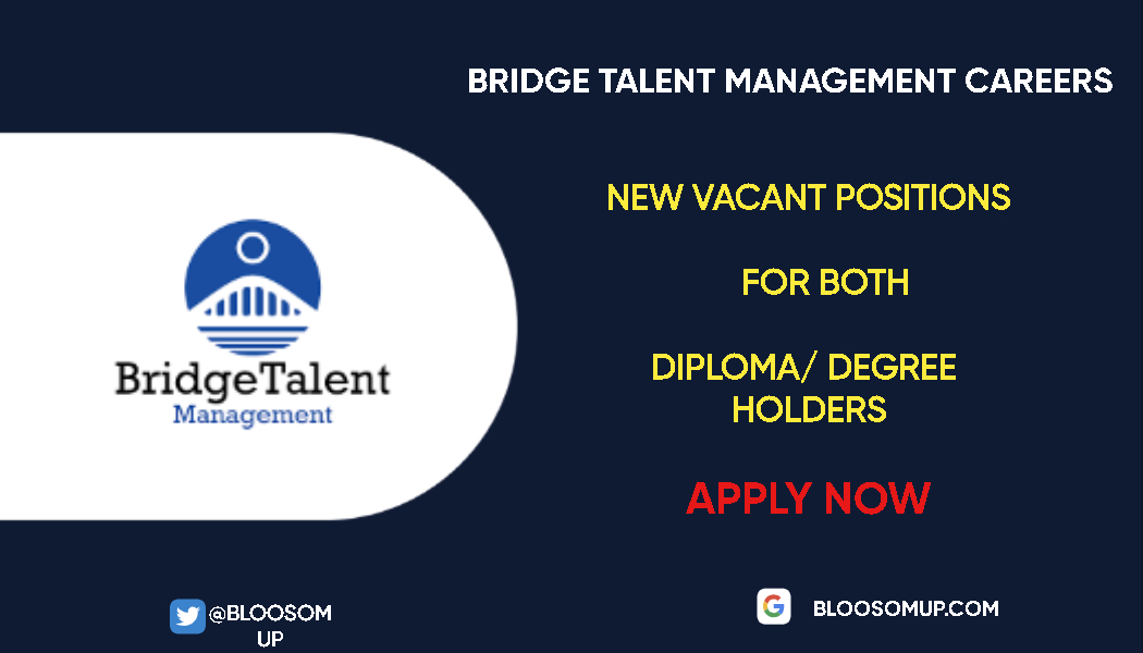 Career Opportunities at Bridge Talent Management
