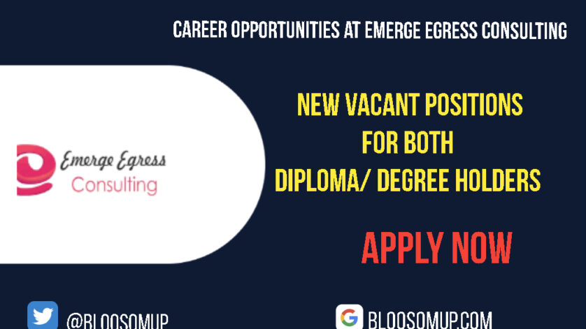 Career Opportunities at Emerge Egress Consulting