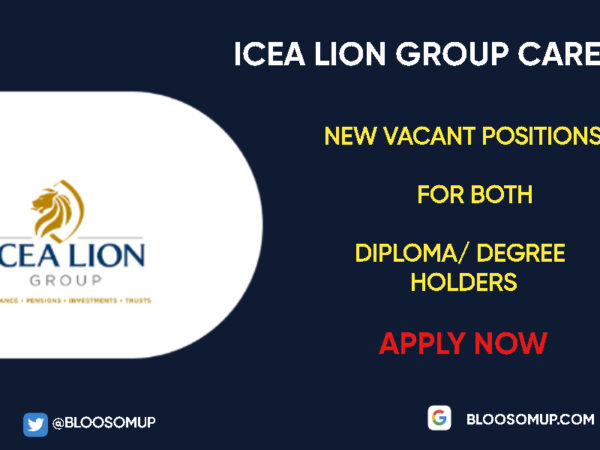 ICEA Lion Group Careers