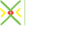 Trade Mark East Africa