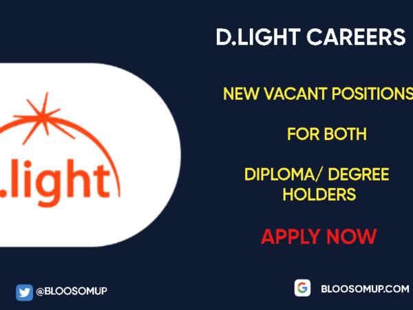 Career Opportunities at d.light