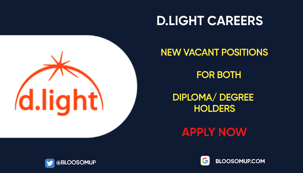 Career Opportunities at d.light
