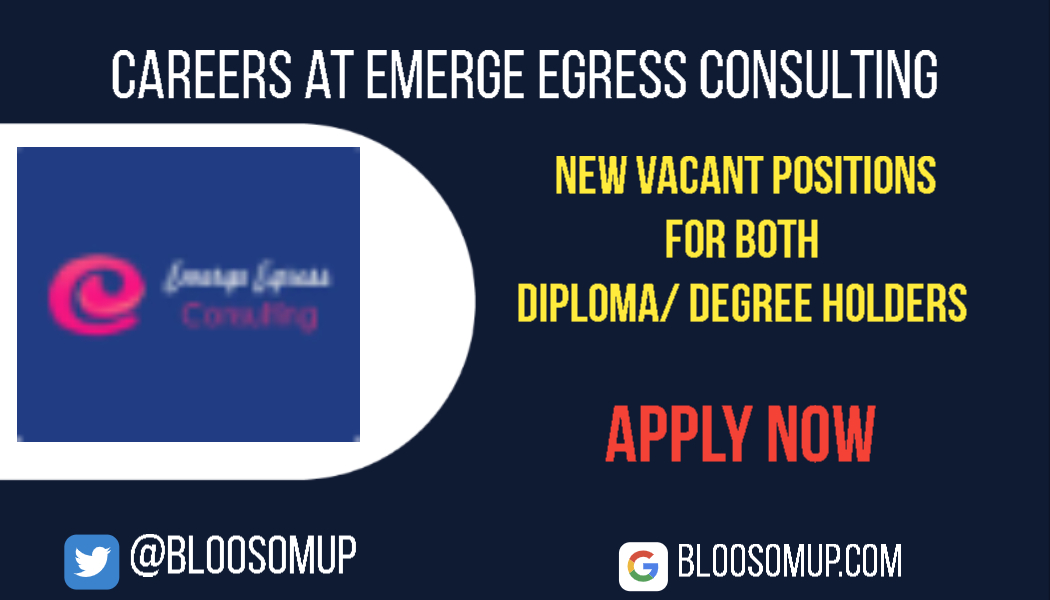 Careers at Emerge Egress Consulting