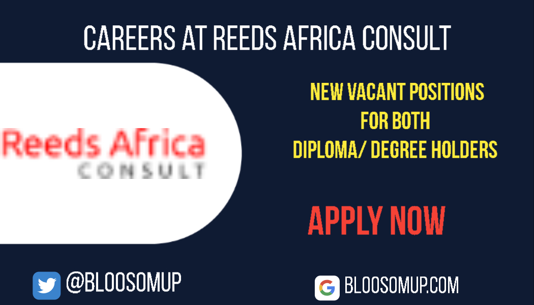 Careers at Reeds Africa Consult