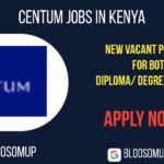 Centum Jobs in Kenya
