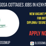 Sosa Cottages Jobs in Kenya